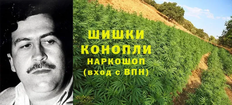 наркота  Арсеньев  Канабис LSD WEED 